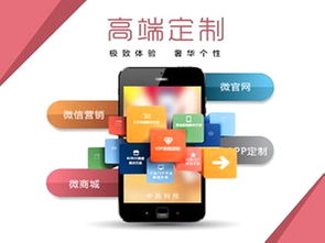 張家口軟件項目外包 打造本地生活服務(wù)平臺的策略與挑戰(zhàn)